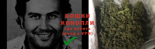 прущие крисы Бородино