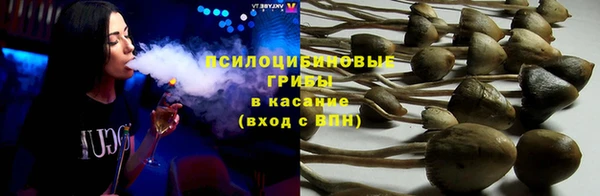 apvp Верхний Тагил