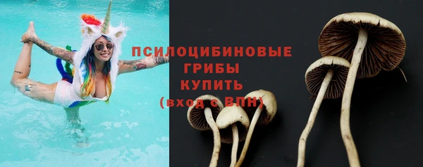 apvp Верхний Тагил