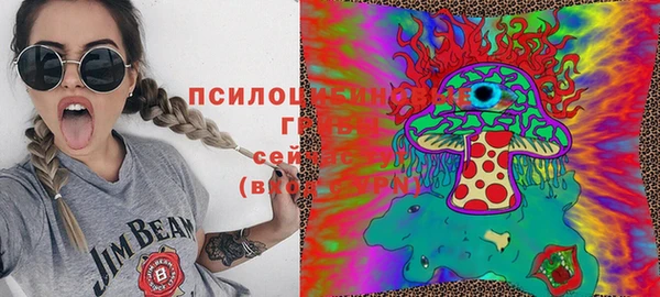 apvp Верхний Тагил