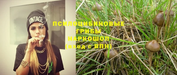 a pvp Зеленодольск