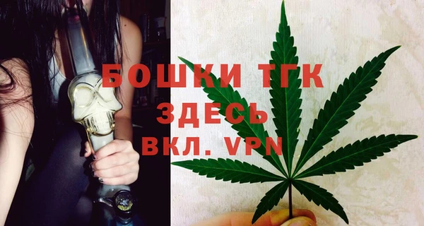 Альфа ПВП Верея
