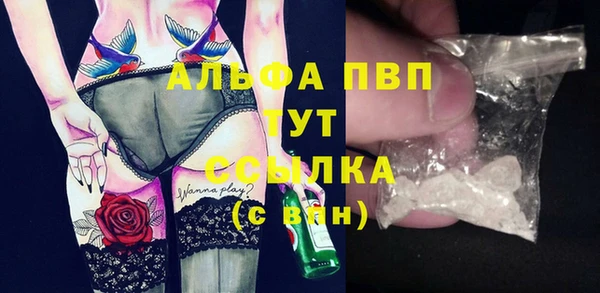 Альфа ПВП Верея