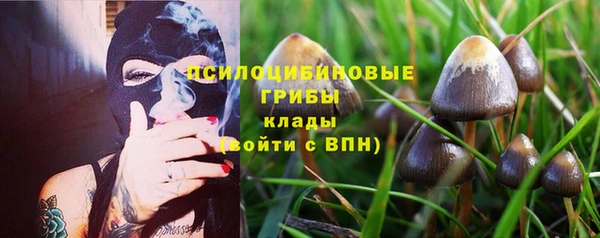 прущие крисы Бородино